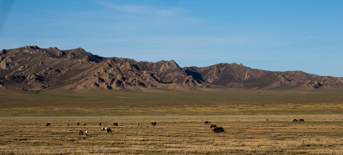 Street and housing in Estria